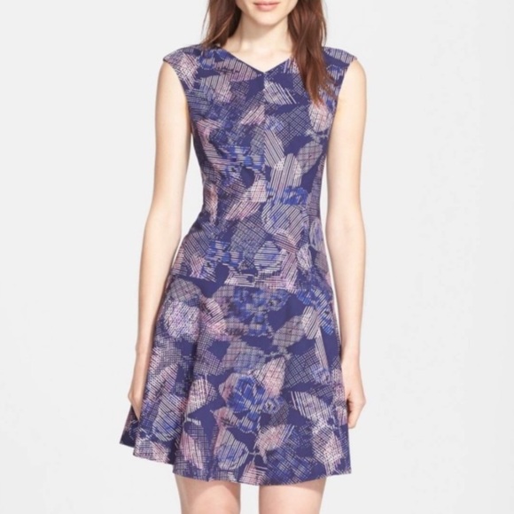 Rebecca Taylor Sonic Garden V-neck Drop Waist Dress Fit n Flare Blue Pink Size 2 - Picture 5 of 12